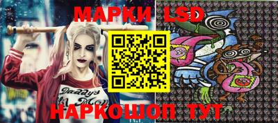 a pvp Славгород