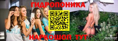 a pvp Славгород